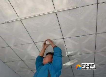 1733193776130912.png image.png