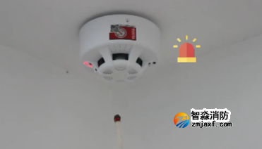 1741670493221087.png image.png